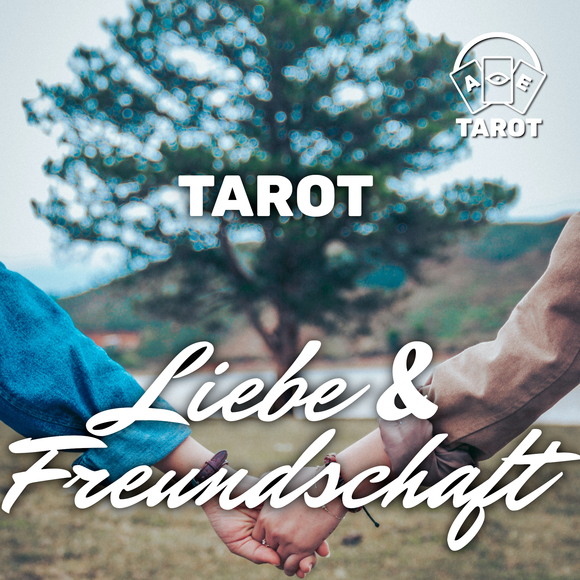 Tarot Kartenlegung Videoaufnahme Liebe Freundschaft Kartenlesung in 24 Stunden Kartenlegung
